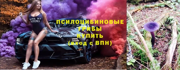 первитин Алексеевка